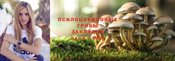 альфа пвп Богородск