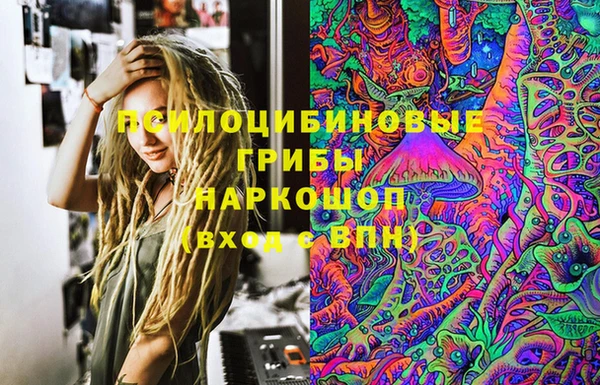 Альфа ПВП Богородицк
