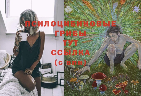 Альфа ПВП Богородицк