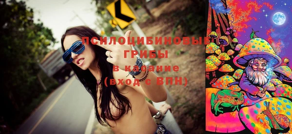 Альфа ПВП Богородицк