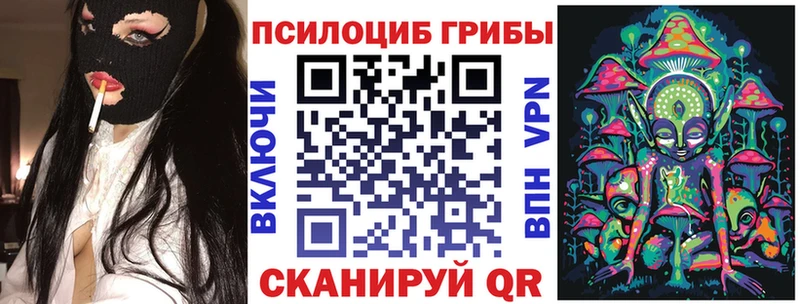 Псилоцибиновые грибы Cubensis  Купить где  Павловский Посад 